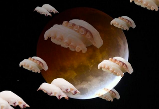 Illustration for article titled These pictures of sushi floating in space are truly awesome